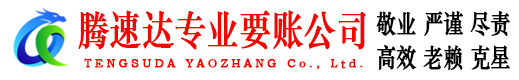 紫金讨债公司